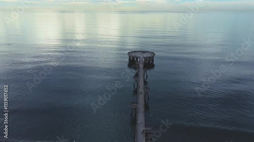 Venice beach in California pier seen from above