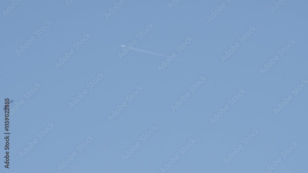 A bird is flying in the sky above a blue sky. The bird is small and has a long tail A bird is flying in the sky above a blue sky. The bird is small and has a long tail