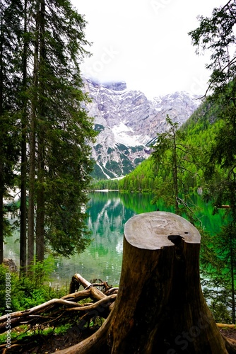 Sawed-off tree trunk in front of the Pragser Wildsee, Lake Prags, Lake Braies, Lago di Braies,Pragser Wildsee in the 
Dolomites in South Tyrol, Italy. Hiking and holidays in South Tyrol. photo