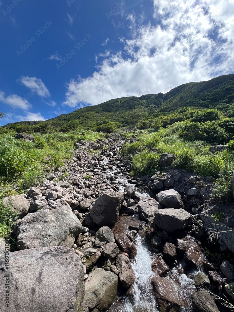 Obraz premium 登山道