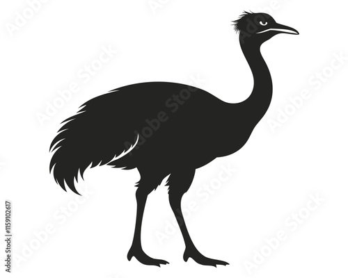 silhouette of Emu bird black vector illustration isolated on transparent background