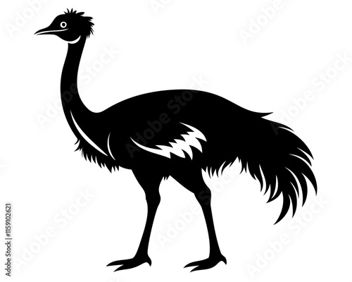 silhouette of Emu bird black vector illustration isolated on transparent background