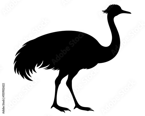 silhouette of Emu bird black vector illustration isolated on transparent background photo