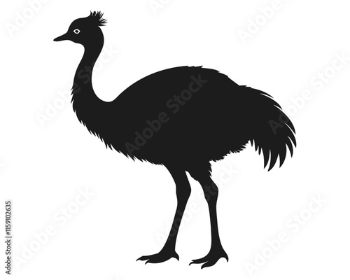 silhouette of Emu bird black vector illustration isolated on transparent background