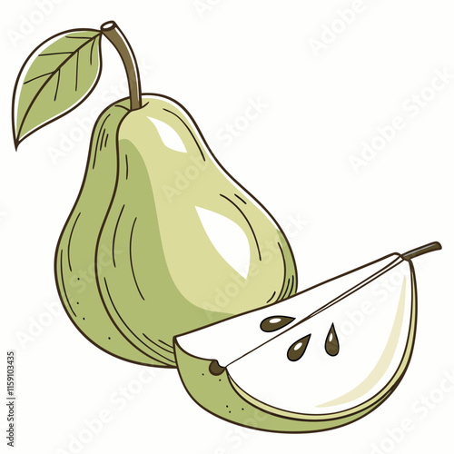 illustration of pear