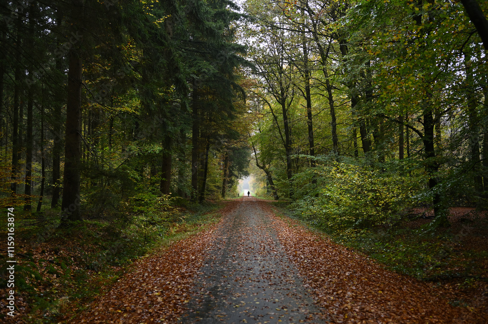 Naklejka premium Wegperspektive 24