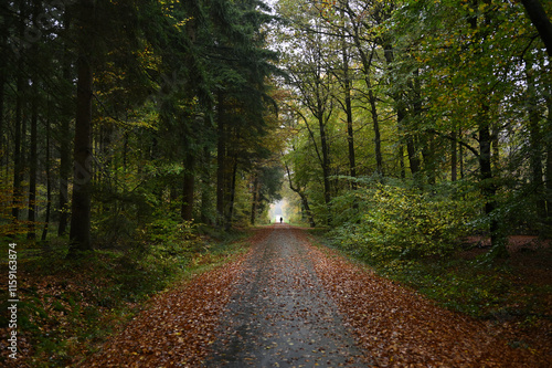 Wegperspektive 24
