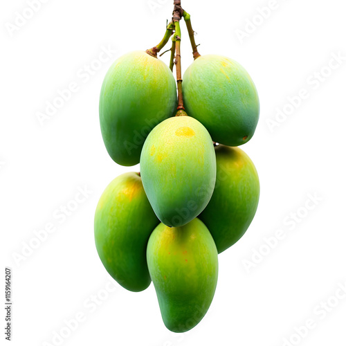 Fresh Green Mango Cluster