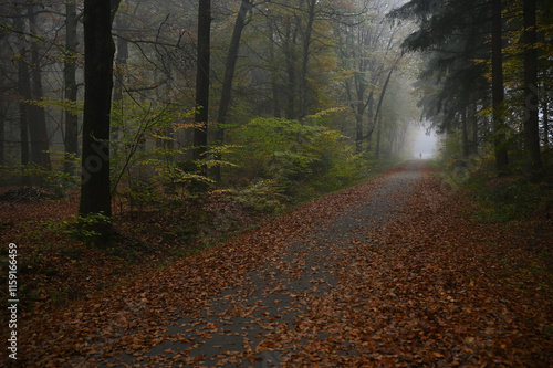 Holzstumpf 24