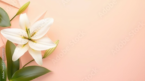 Lily leaves abstract background concept. Elegant white lily flower on a soft peach background, symbolizing purity and beauty.