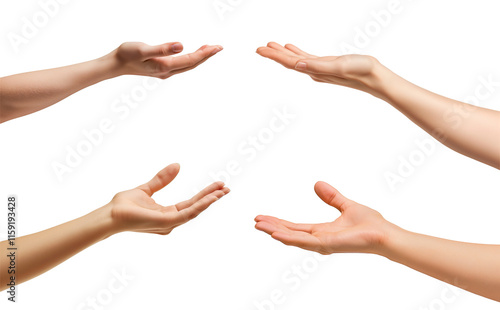 Set of empty hand holding something isolated on transparent background cutout png photo