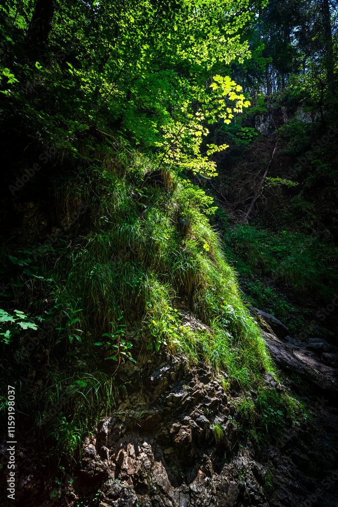Hiking Josephstal Waterfalls Bavaria Germany Hiking Josephstal Waterfalls Bavaria Germany