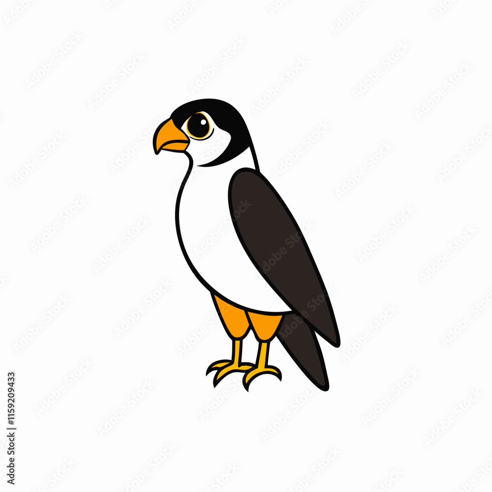 bird bird