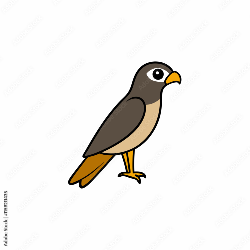 bird of prey bird of prey