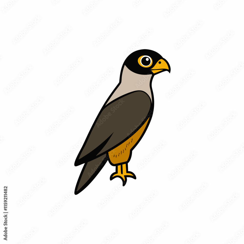 bird of prey bird of prey