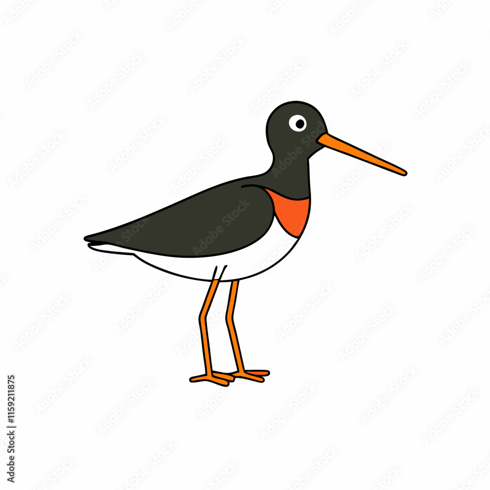 illustration of a cartoon bird illustration of a cartoon bird