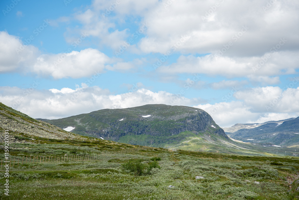 Green meadow against the backdrop of green hills. Blue sky with clouds.Journey into the wild. Green meadow against the backdrop of green hills. Blue sky with clouds.Journey into the wild.