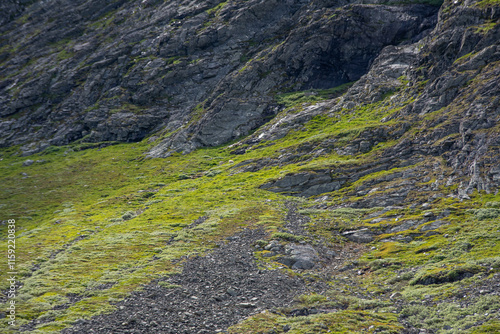 rocky mountainside in Norway where mountain sheep graze in the green grass. photo