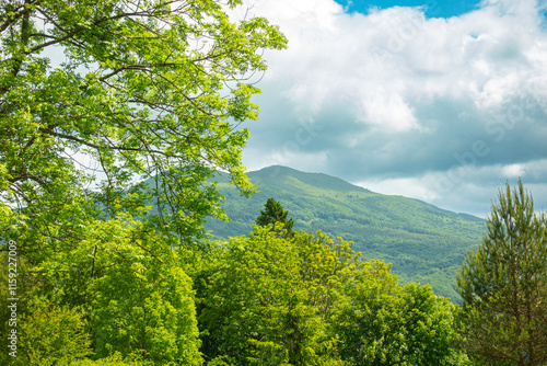 Bieszczady góra góry połoniny las drzewa dolina niebo chmury wiosna lato