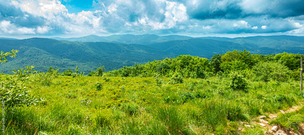 Bieszczady góra góry połoniny las drzewa dolina niebo chmury wiosna lato