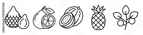 Tropical and Exotic Fruits Line Icons - A collection of minimalist black-and-white line illustrations featuring tropical and exotic fruits like pineapple, papaya, and citrus.