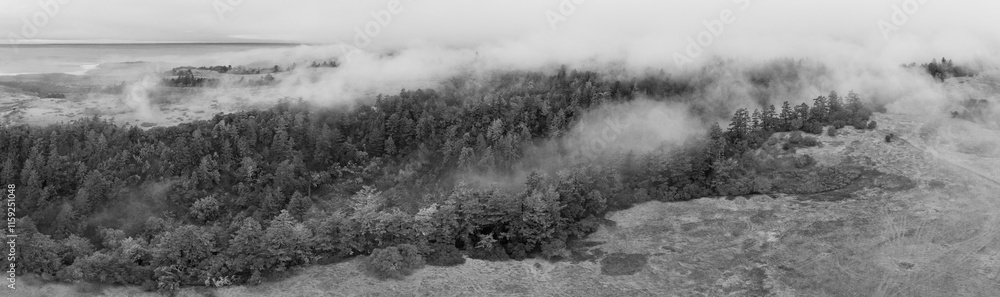 Low, misty clouds drift through the extensive forests and hills of Santa Cruz, California. This beautiful coastal region receives lots of moisture from the ever present marine layer. Low, misty clouds drift through the extensive forests and hills of Santa Cruz, California. This beautiful coastal region receives lots of moisture from the ever present marine layer.