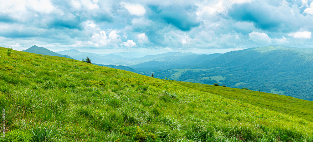 Bieszczady góra góry połoniny las drzewa dolina niebo chmury wiosna lato