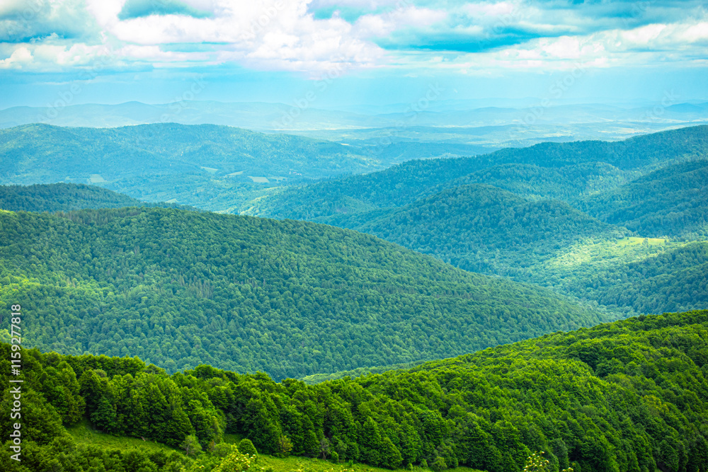 Bieszczady góra góry połoniny las drzewa dolina niebo chmury wiosna lato