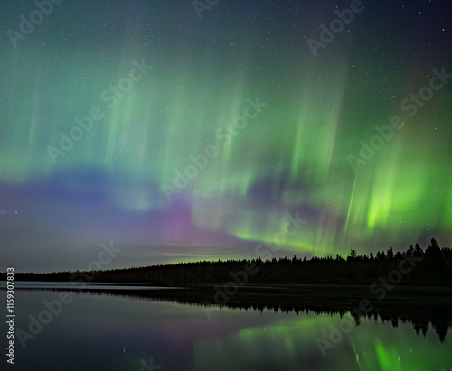 Night sky filled with Aurora reflecting in a calm lake with dark trees along the shoreline
 photo