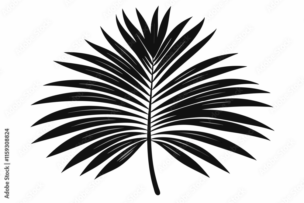 Black palm leaf silhouette on white background.
Black palm leaf silhouette on white background.