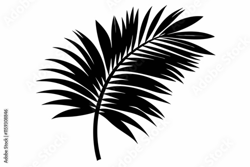 Black palm leaf silhouette on white background. 
