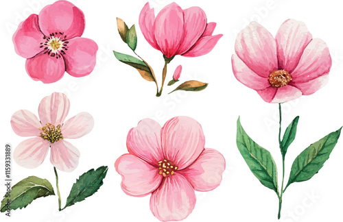watercolor illustration set of pink flowers