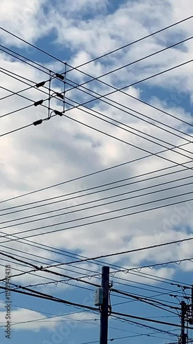 Wallpaper Mural 青空と雲の下の電柱と電線 縦動画 Torontodigital.ca
