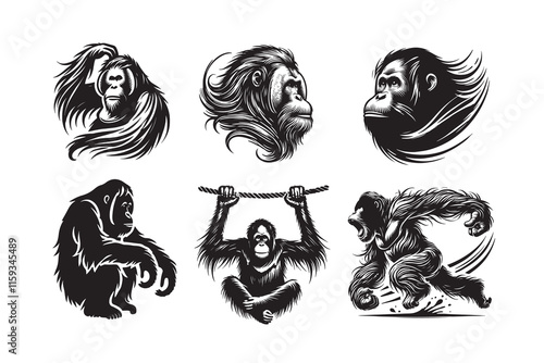 Orangutan silhouette vector illustration with a white background