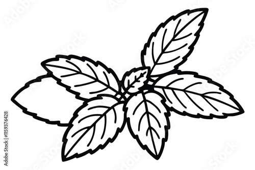 Illustration of fragrant fresh mint sprig line art vector illustration