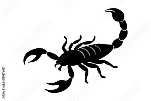 Scorpion Silhouette Vector Illustration on White Background photo