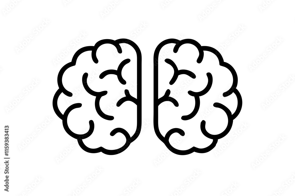 Two Human Brain Outline Icons Silhouette on White Background Two Human Brain Outline Icons Silhouette on White Background