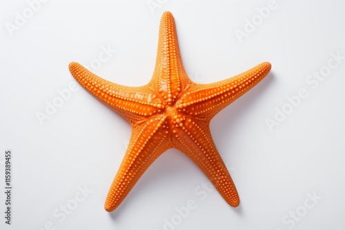 A vibrant orange starfish capturing the essence of marine life and coastal beauty. photo