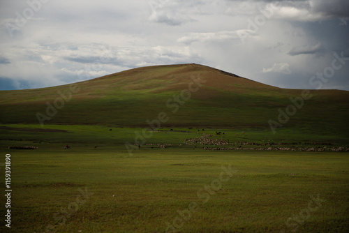 Mongolian local family live in the Ger between mountains and river, trees and lakes