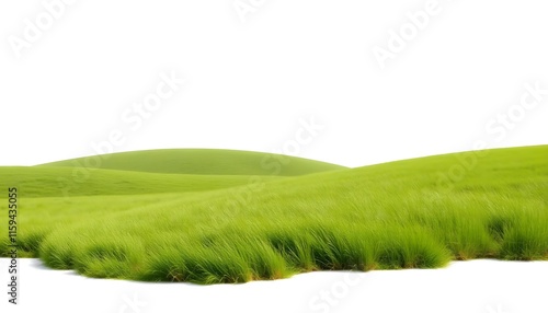 green grassland landscape isolated on white or transparent