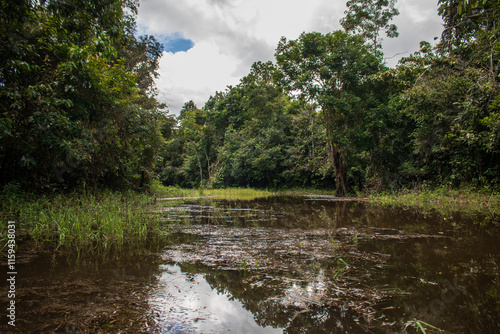 PHOTOS OF THE NANAY RIVER IN THE PERUVIAN AMAZON, BLACK WATER RIVER OR IGAPO IN THE FLOODABLE FORESTS NEAR THE ALLPAHUAYO MISHANA NATIONAL RESERVE photo