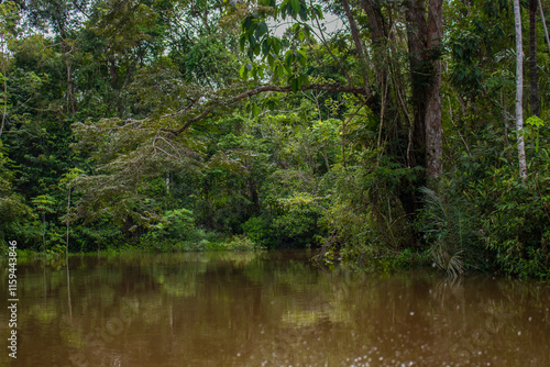PHOTOS OF THE NANAY RIVER IN THE PERUVIAN AMAZON, BLACK WATER RIVER OR IGAPO IN THE FLOODABLE FORESTS NEAR THE ALLPAHUAYO MISHANA NATIONAL RESERVE