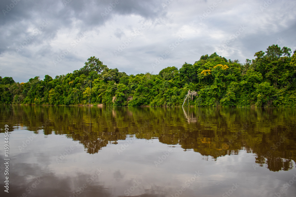 Fototapeta premium PHOTOS OF THE NANAY RIVER IN THE PERUVIAN AMAZON, BLACK WATER RIVER OR IGAPO IN THE FLOODABLE FORESTS NEAR THE ALLPAHUAYO MISHANA NATIONAL RESERVE