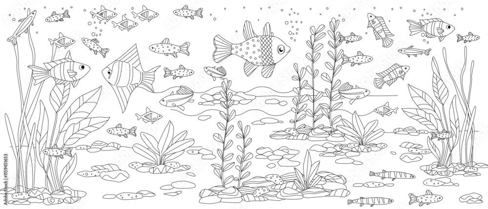 Obraz premium coloring book page for adults and children underwater landscape with seaweeds, fishes, pebbles