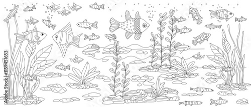 coloring book page for adults and children underwater landscape with seaweeds, fishes, pebbles