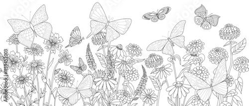 coloring book page for adults and children with panoramic floral field of wildflowers and butterflies photo