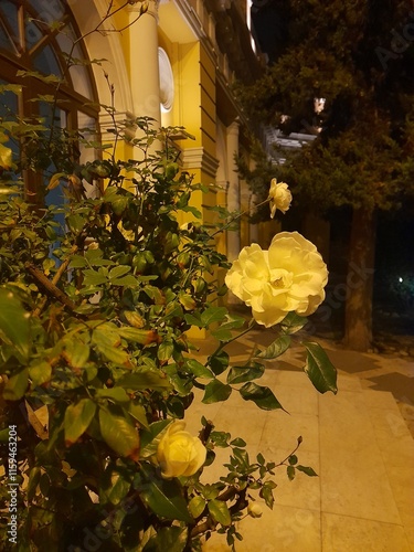 still life with flowers