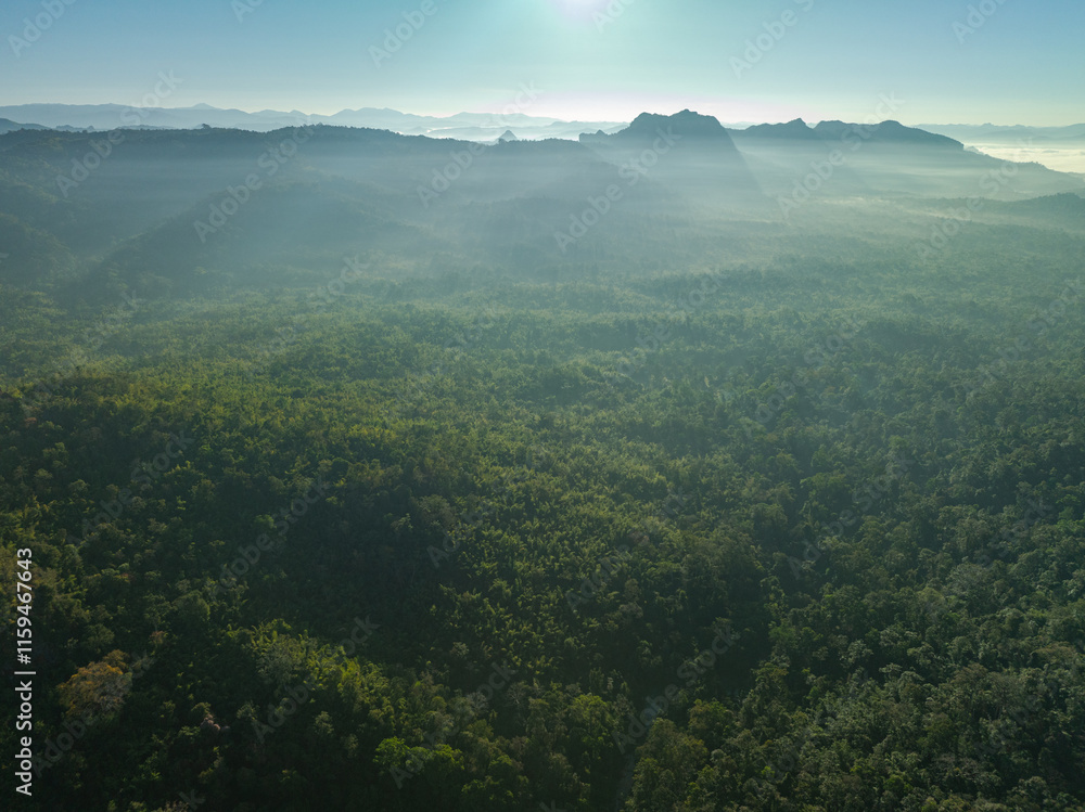 Aerial View The most beautiful waterfalls in Thailand..Thi Lo Su Waterfall The Largest Waterfall in Thailand.Thi Lo Su Waterfall stands tall as a hidden gem within Umphang Wildlife Sanctuary. Aerial View The most beautiful waterfalls in Thailand..Thi Lo Su Waterfall The Largest Waterfall in Thailand.Thi Lo Su Waterfall stands tall as a hidden gem within Umphang Wildlife Sanctuary.