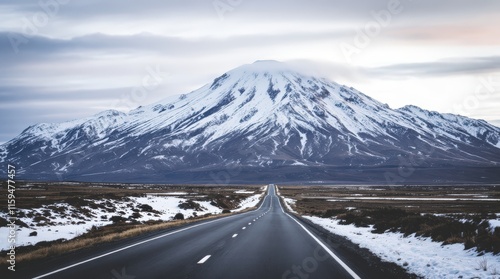 Wallpaper Mural road leading to a snowcapped mountain photography Torontodigital.ca