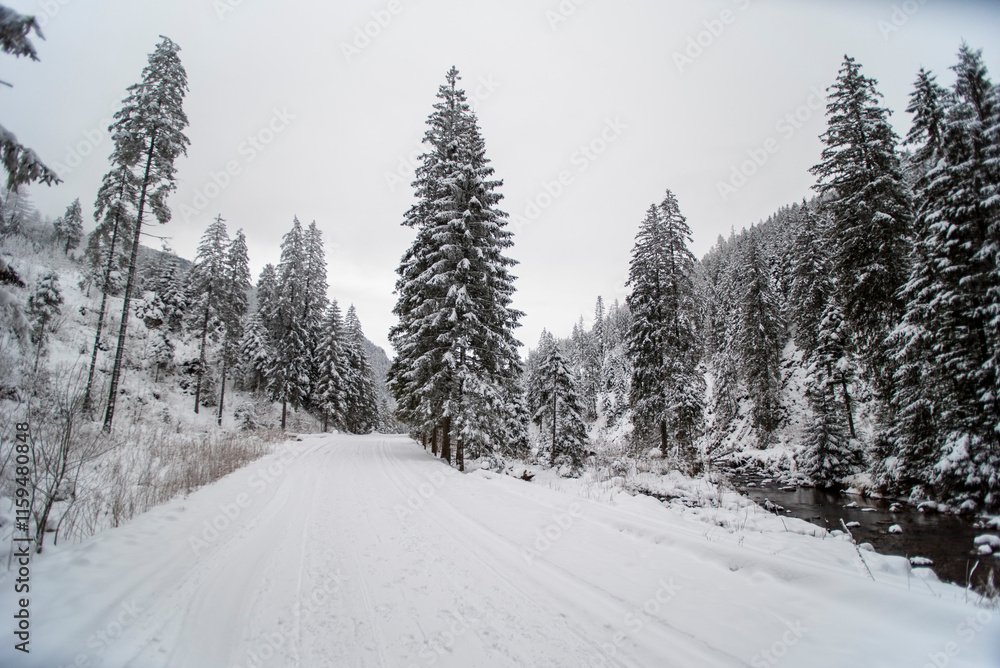 A snowy path winding through the Chocholowska Valley, surrounded by trees blanketed in fresh snow. The serene winter scene invites a sense of quiet and untouched natural beauty. A snowy path winding through the Chocholowska Valley, surrounded by trees blanketed in fresh snow. The serene winter scene invites a sense of quiet and untouched natural beauty.